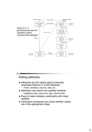 6
Figure 3.4. A
generalized process for
updating a forest
inventory GIS database.
Delineate changes
to be made to
inventory
Inventory forester
Check data for
mistakes and
omissions
Digitize changes
to spatial data,
encode inventory
Integrate into
GIS
database
Information systems
analysts
Check data for
mistakes and
omissions
Check data for
mistakes and
omissions
Check data for
mistakes and
omissions
maps, data files
maps, data files
GIS
databases
maps, data files
maps, data files
GIS
databases
maps, data files
Verification
process #1
Verification
process #2
Verification
process #3
Verification
process #4
Editing attributes
 Attributes are the values used to describe
landscape features in a GIS database
 Fields, variables, columns, data, etc.
 Attributes may need to be updated overtime
 Vegetation type, basal area, age, volume (mbf)
 Easy to make mistakes, particularly with major
updates
 Verification processes can check whether values
are in the appropriate range
 