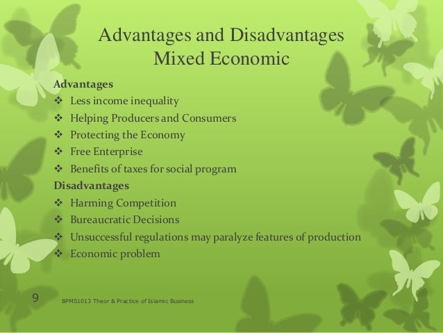 disadvantages of mixed economy