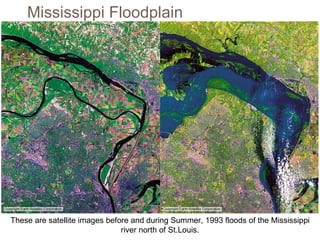 These are satellite images before and during Summer, 1993 floods of the Mississippi river north of St.Louis. Mississippi Floodplain 