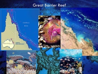 Great Barrier Reef 