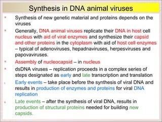 Synthesis in DNA animal viruses
     Synthesis of new genetic material and proteins depends on the
      viruses
     Generally, DNA animal viruses replicate their DNA in host cell
      nucleus with aid of viral enzymes and synthesize their capsid
      and other proteins in the cytoplasm with aid of host cell enzymes
      – typical of adenoviruses, hepadnaviruses, herpesviruses and
      papovaviruses.
     Assembly of nucleocapsid – in nucleus
     dsDNA viruses – replication proceeds in a complex series of
      steps designated as early and late transcription and translation
i.    Early events – take place before the synthesis of viral DNA and
      results in production of enzymes and proteins for viral DNA
      replication
ii.   Late events – after the synthesis of viral DNA, results in
      production of structural proteins needed for building new
      capsids.
 
