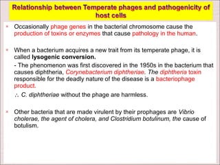    Occasionally phage genes in the bacterial chromosome cause the
    production of toxins or enzymes that cause pathology in the human.

   When a bacterium acquires a new trait from its temperate phage, it is
    called lysogenic conversion.
    - The phenomenon was first discovered in the 1950s in the bacterium that
    causes diphtheria, Corynebacterium diphtheriae. The diphtheria toxin
    responsible for the deadly nature of the disease is a bacteriophage
    product.
    ∴ C. diphtheriae without the phage are harmless.

   Other bacteria that are made virulent by their prophages are Vibrio
    cholerae, the agent of cholera, and Clostridium botulinum, the cause of
    botulism.
 