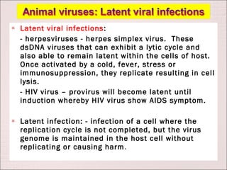    Latent viral infections :
    - herpesviruses - herpes simplex virus. These
    dsDNA viruses that can exhibit a lytic cycle and
    also able to remain latent within the cells of host.
    Once activated by a cold, fever, stress or
    immunosuppression, they replicate resulting in cell
    lysis.
    - HIV virus – provirus will become latent until
    induction whereby HIV virus show AIDS symptom.

   Latent infection: - infection of a cell where the
    replication cycle is not completed, but the virus
    genome is maintained in the host cell without
    replicating or causing harm .
 
