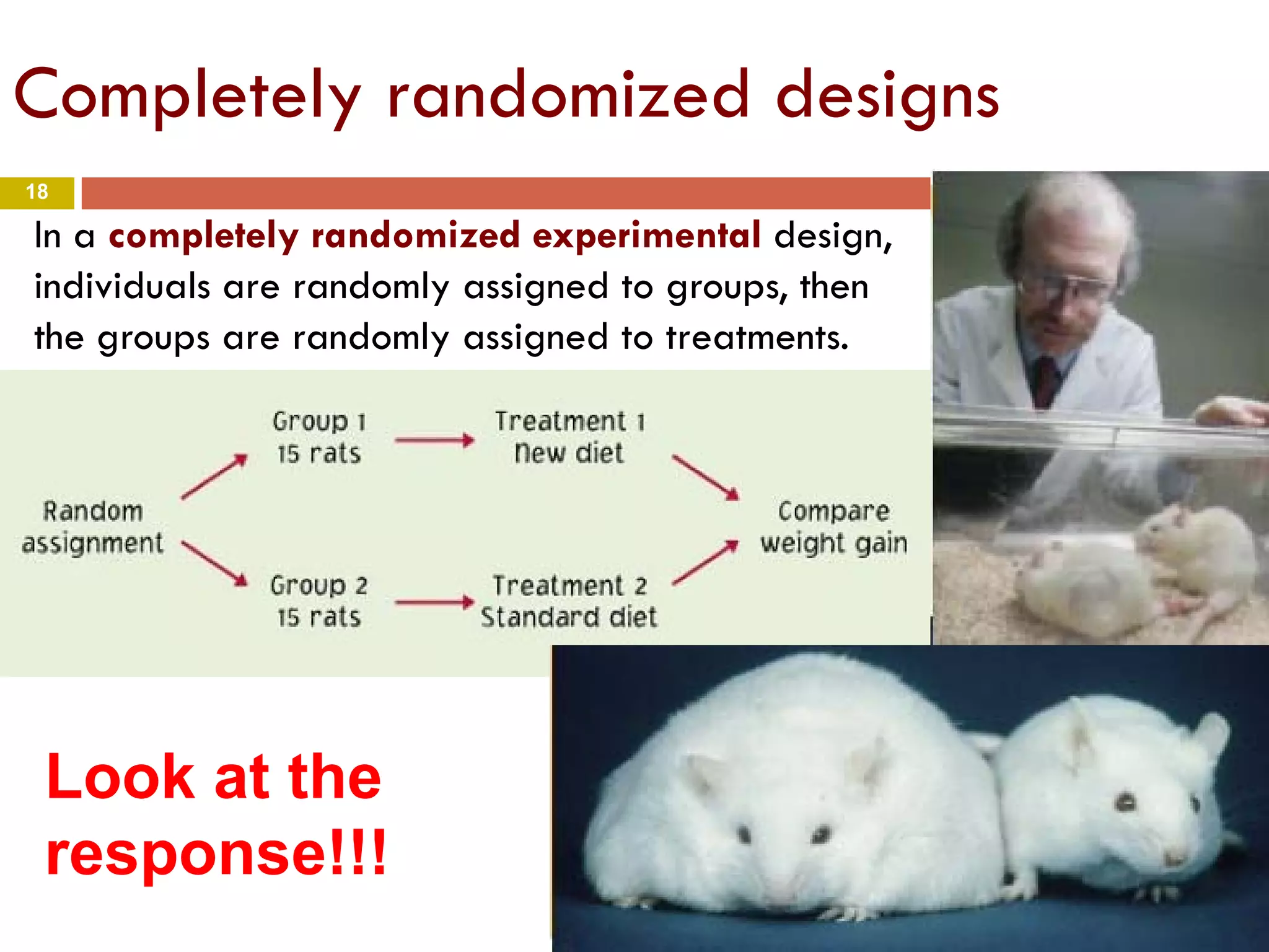 18
Completely randomized designs
In a completely randomized experimental design,
individuals are randomly assigned to groups, then
the groups are randomly assigned to treatments.
Look at the
response!!!
 