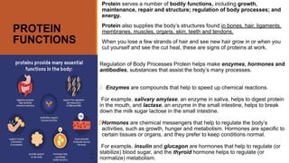 CHAPTER 3 -PART 2 THE PROTEINS.pptx.pdf