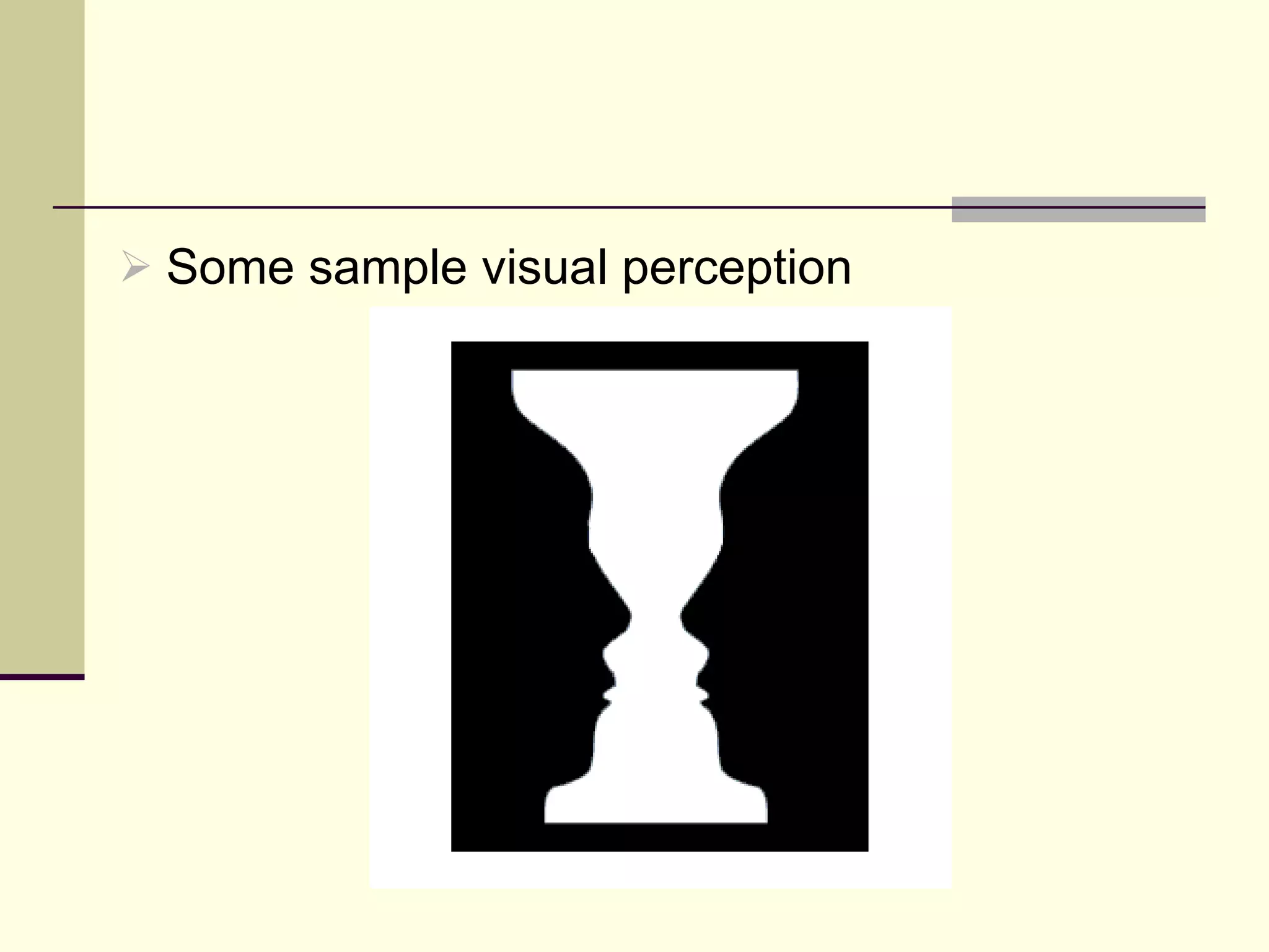 Some sample visual perception 