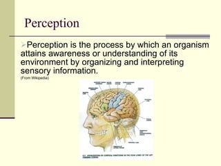 Perception  ,[object Object],[object Object]