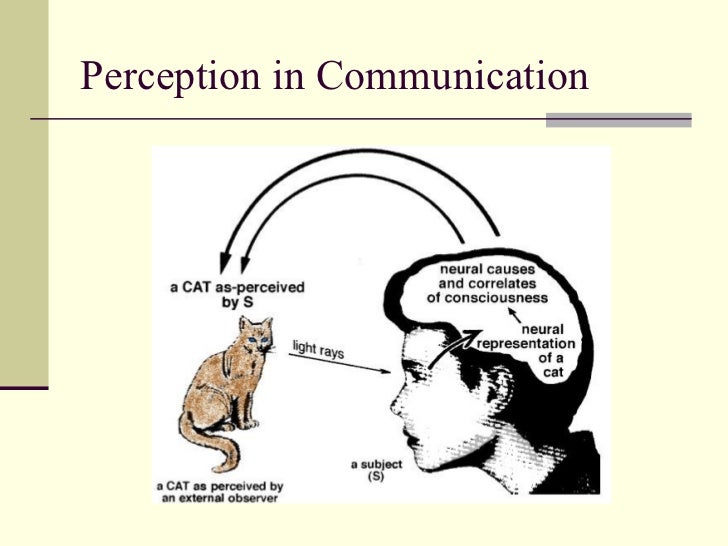 Perception And Perception Of Perception