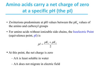 Biochemistry - Ch3 Amino Acids , Peptides , Protein | PDF