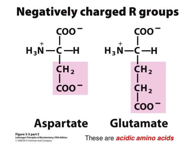 Biochemistry - Ch3 Amino Acids , Peptides , Protein