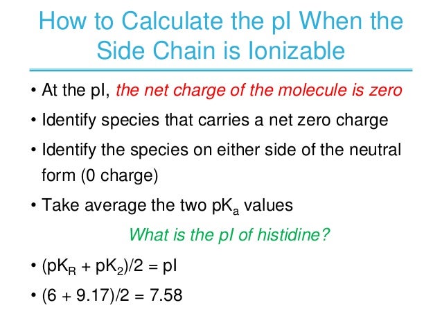 how to calculate pi of a peptide how to calculate pi of a peptide