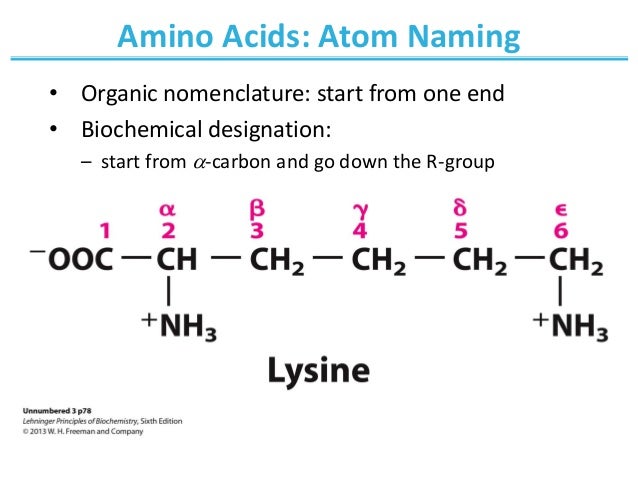 Amino Acids Are Useful Building Blocks For Peptide Synthesis Amino Acids Are Useful Building Blocks For Peptide Synthesis