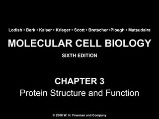 Lodish • Berk • Kaiser • Krieger • Scott • Bretscher •Ploegh • Matsudaira

MOLECULAR CELL BIOLOGY
SIXTH EDITION

CHAPTER 3
Protein Structure and Function
© 2008 W. H. Freeman and Company
Copyright 2008 © W. H. Freeman and Company

 
