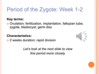 Period of the Zygote: Week 1-2
Key terms:
 Ovulation; fertilization, implantation, fallopian tube;
zygote, blastocyst; germ disc
Characteristics:
 2 weeks duration; rapid division
Let’s look at the next slide to view
this period more closely.
 