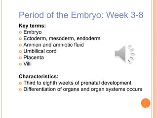 Period of the Embryo: Week 3-8
Key terms:
 Embryo
 Ectoderm, mesoderm, endoderm
 Amnion and amniotic fluid
 Umbilical cord
 Placenta
 Villi
Characteristics:
 Third to eighth weeks of prenatal development
 Differentiation of organs and organ systems occurs
 