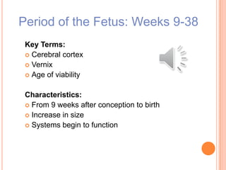 Period of the Fetus: Weeks 9-38
Key Terms:
 Cerebral cortex
 Vernix
 Age of viability
Characteristics:
 From 9 weeks after conception to birth
 Increase in size
 Systems begin to function
 