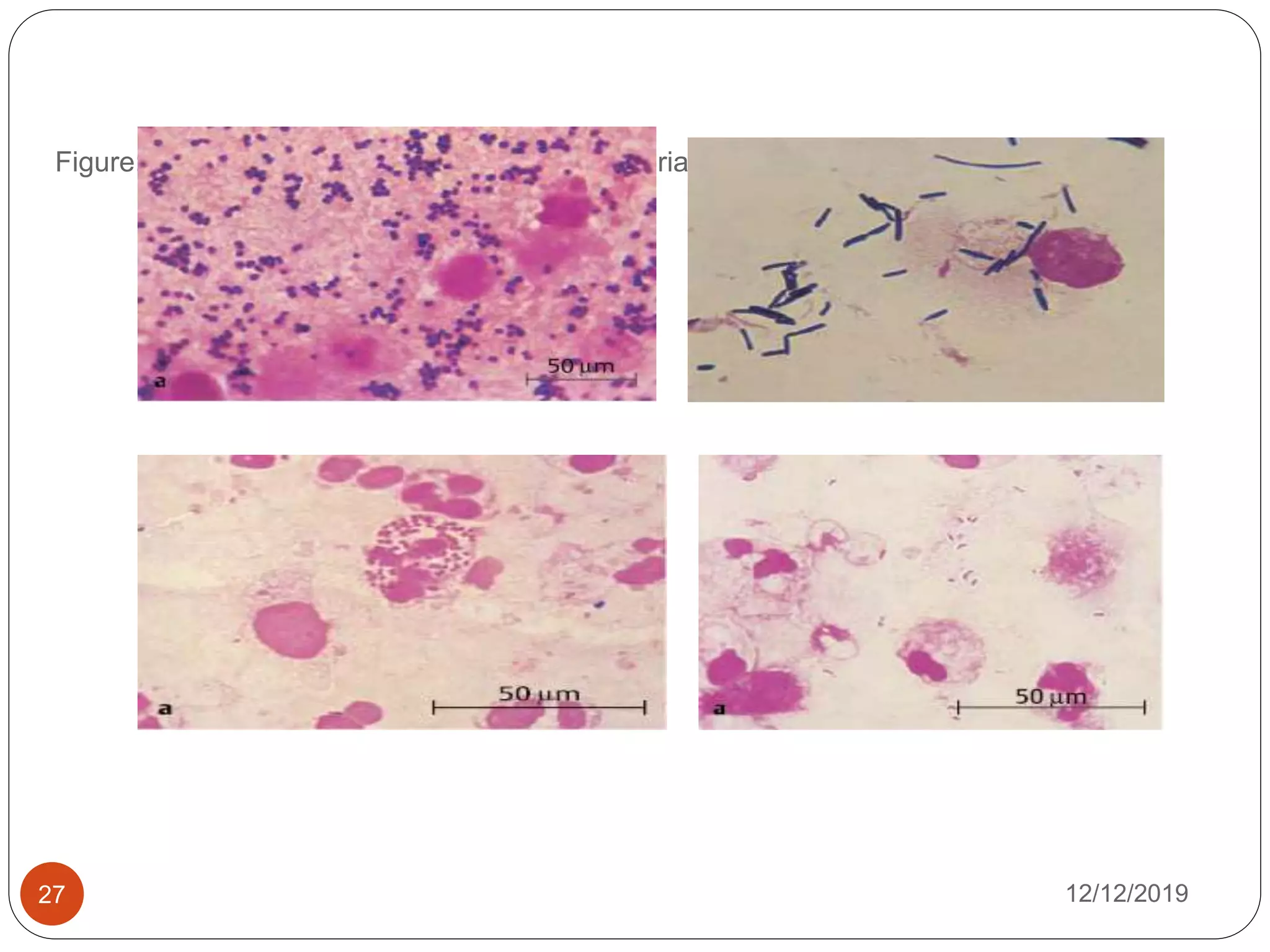 Staining Lab Specimen staining in medical laboratory | PPT