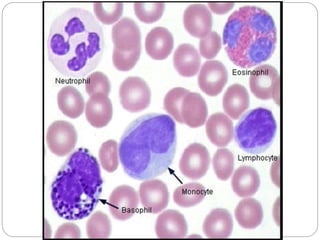 staining in medical laboratory | PPT