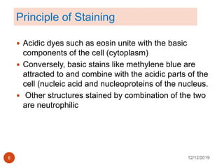 staining in medical laboratory | PPT