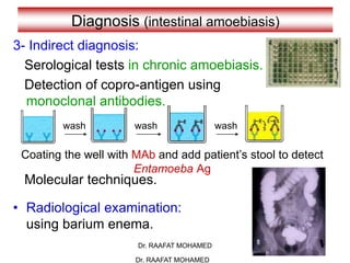 Dr. RAAFAT MOHAMED
Diagnosis (intestinal amoebiasis)
3- Indirect diagnosis:
Serological tests in chronic amoebiasis.
Detection of copro-antigen using
monoclonal antibodies.
Molecular techniques.
• Radiological examination:
using barium enema.
Coating the well with MAb and add patient’s stool to detect
Entamoeba Ag
wash wash wash
Dr. RAAFAT MOHAMED
 