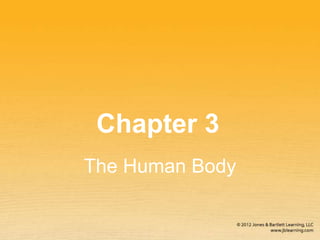 Chapter 3 The Human Body | PPTX