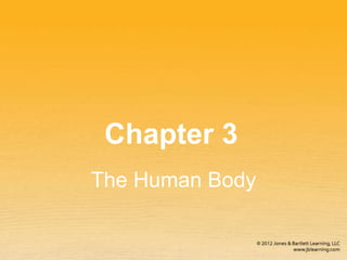 Chapter 3
The Human Body
 