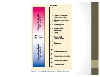 Water Chapter Notes Chapter 3- Water Notes.pdf for ap biology | PDF