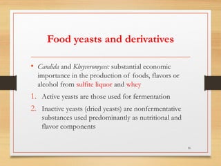 Food yeasts and derivatives
• Candida and Kluyveromyces: substantial economic
importance in the production of foods, flavors or
alcohol from sulfite liquor and whey
1. Active yeasts are those used for fermentation
2. Inactive yeasts (dried yeasts) are nonfermentative
substances used predominantly as nutritional and
flavor components
16
 