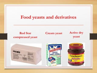 Food yeasts and derivatives
Red Star
compressed yeast
Cream yeast Active dry
yeast
19
 