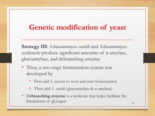 Genetic modification of yeast
Strategy III: Schwanniomyces castelli and Schwanniomyces
occidentalis produce significant amounts of α-amylase,
glucoamylase, and debranching enzyme
• Thus, a two-stage fermentation system was
developed by
• First add S. uvarvm to wort and start fermentation
• Then add S. castelli (glucoamylase & α-amylase)
• Debranching enzyme is a molecule that helps facilitate the
breakdown of glycogen 30
 