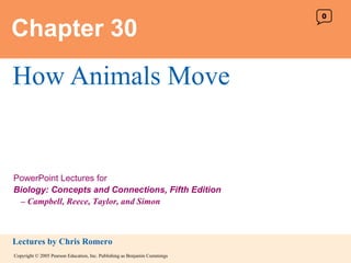 Chapter 30 How Animals Move 0 