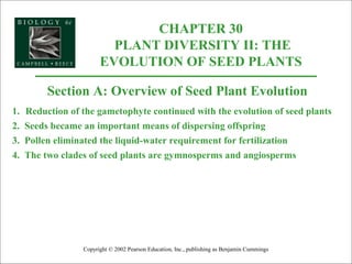 CHAPTER 30
PLANT DIVERSITY II: THE
EVOLUTION OF SEED PLANTS
Copyright © 2002 Pearson Education, Inc., publishing as Benjamin Cummings
Section A: Overview of Seed Plant Evolution
1. Reduction of the gametophyte continued with the evolution of seed plants
2. Seeds became an important means of dispersing offspring
3. Pollen eliminated the liquid-water requirement for fertilization
4. The two clades of seed plants are gymnosperms and angiosperms
 