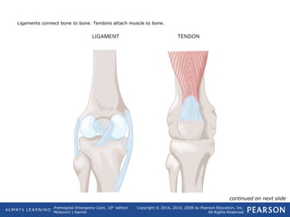 Prehospital Emergency Care, 10th
edition
Mistovich | Karren
Copyright © 2014, 2010, 2008 by Pearson Education, Inc.
All Rights Reserved
Ligaments connect bone to bone. Tendons attach muscle to bone.
continued on next slide
 