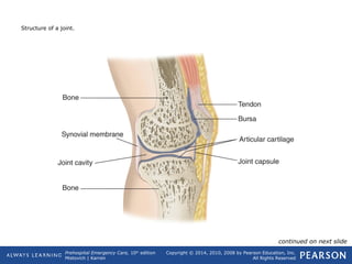 Prehospital Emergency Care, 10th
edition
Mistovich | Karren
Copyright © 2014, 2010, 2008 by Pearson Education, Inc.
All Rights Reserved
Structure of a joint.
continued on next slide
 