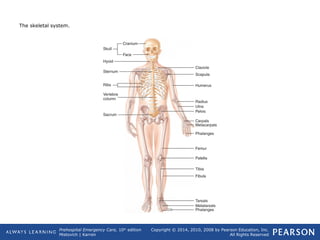 Prehospital Emergency Care, 10th
edition
Mistovich | Karren
Copyright © 2014, 2010, 2008 by Pearson Education, Inc.
All Rights Reserved
The skeletal system.
 