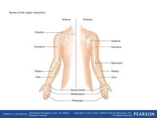 Prehospital Emergency Care, 10th
edition
Mistovich | Karren
Copyright © 2014, 2010, 2008 by Pearson Education, Inc.
All Rights Reserved
Bones of the upper extremity.
 
