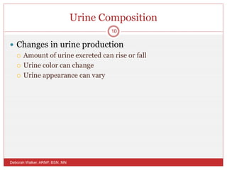Urine Composition
 Changes in urine production
 Amount of urine excreted can rise or fall
 Urine color can change
 Urine appearance can vary
Deborah Walker, ARNP, BSN, MN
10
 