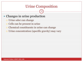 Urine Composition
 Changes in urine production
 Urine odor can change
 Cells can be present in urine
 Chemical constituents in urine can change
 Urine concentration (specific gravity) may vary
Deborah Walker, ARNP, BSN, MN
11
 