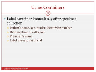 Urine Containers
 Label container immediately after specimen
collection
 Patient’s name, age, gender, identifying number
 Date and time of collection
 Physician’s name
 Label the cup, not the lid
Deborah Walker, ARNP, BSN, MN
18
 