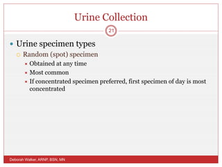 Urine Collection
 Urine specimen types
 Random (spot) specimen
 Obtained at any time
 Most common
 If concentrated specimen preferred, first specimen of day is most
concentrated
Deborah Walker, ARNP, BSN, MN
21
 