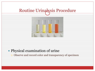 Routine Urinalysis Procedure
 Physical examination of urine
 Observe and record color and transparency of specimen
 
