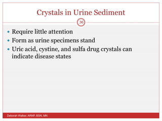 Crystals in Urine Sediment
 Require little attention
 Form as urine specimens stand
 Uric acid, cystine, and sulfa drug crystals can
indicate disease states
Deborah Walker, ARNP, BSN, MN
36
 
