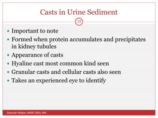 Casts in Urine Sediment
 Important to note
 Formed when protein accumulates and precipitates
in kidney tubules
 Appearance of casts
 Hyaline cast most common kind seen
 Granular casts and cellular casts also seen
 Takes an experienced eye to identify
Deborah Walker, ARNP, BSN, MN
37
 