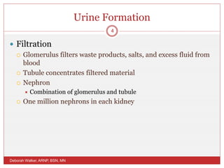 Urine Formation
 Filtration
 Glomerulus filters waste products, salts, and excess fluid from
blood
 Tubule concentrates filtered material
 Nephron
 Combination of glomerulus and tubule
 One million nephrons in each kidney
Deborah Walker, ARNP, BSN, MN
4
 
