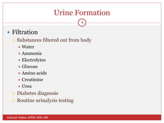 Urine Formation
 Filtration
 Substances filtered out from body
 Water
 Ammonia
 Electrolytes
 Glucose
 Amino acids
 Creatinine
 Urea
 Diabetes diagnosis
 Routine urinalysis testing
Deborah Walker, ARNP, BSN, MN
5
 