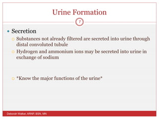 Urine Formation
 Secretion
 Substances not already filtered are secreted into urine through
distal convoluted tubule
 Hydrogen and ammonium ions may be secreted into urine in
exchange of sodium
 *Know the major functions of the urine*
Deborah Walker, ARNP, BSN, MN
7
 