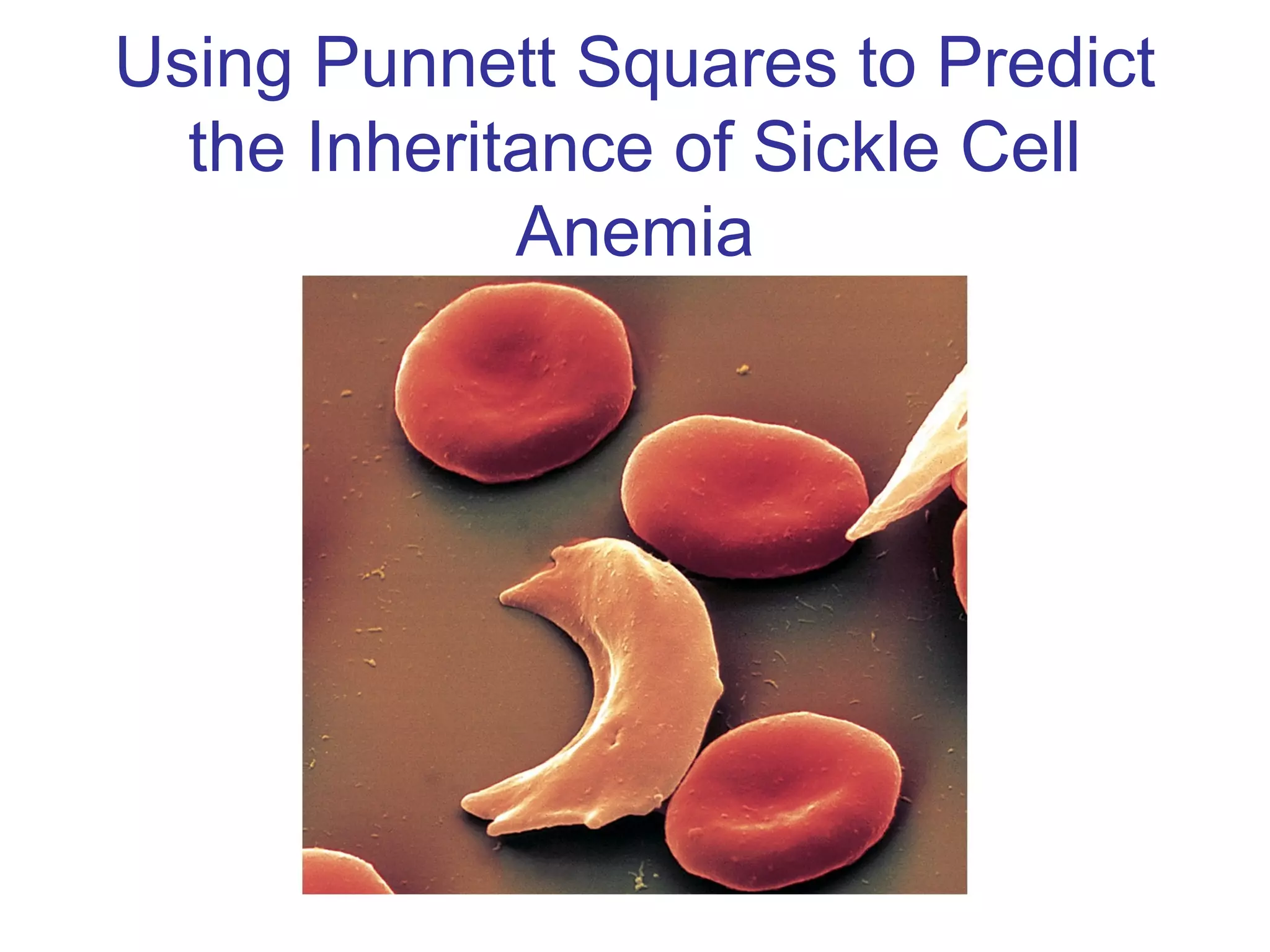 Using Punnett Squares to Predict
the Inheritance of Sickle Cell
Anemia
 