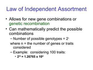 Law of Independent Assortment
• Allows for new gene combinations or
genetic recombination
• Can mathematically predict the possible
combinations
– Number of possible genotypes = 2n
where n = the number of genes or traits
considered
– Example: considering 100 traits:
• 2100
= 1.26765 x 1030
 