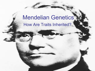 Mendelian Genetics
How Are Traits Inherited?
 