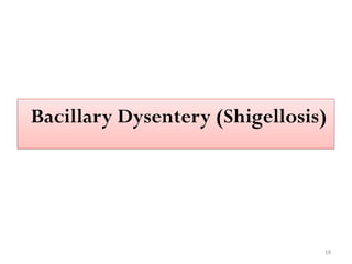 18
Bacillary Dysentery (Shigellosis)
 